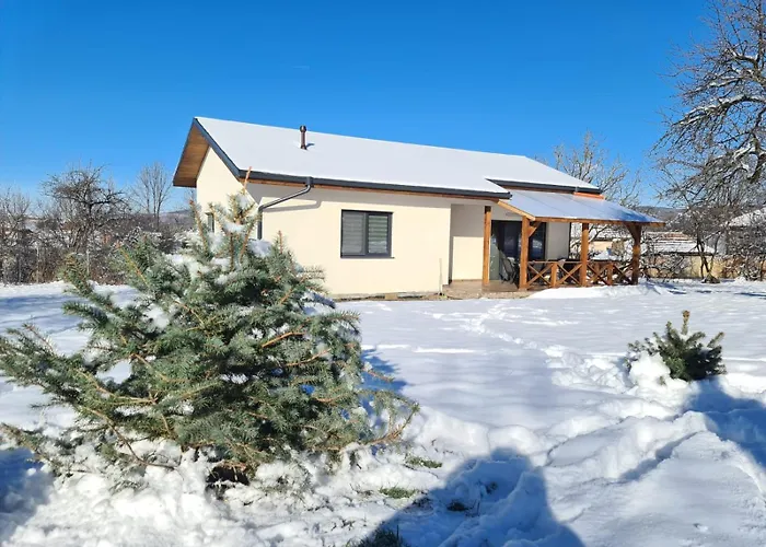 софаш * Stoevtsi